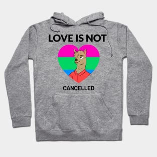 Love Is Not Cancelled Hoodie